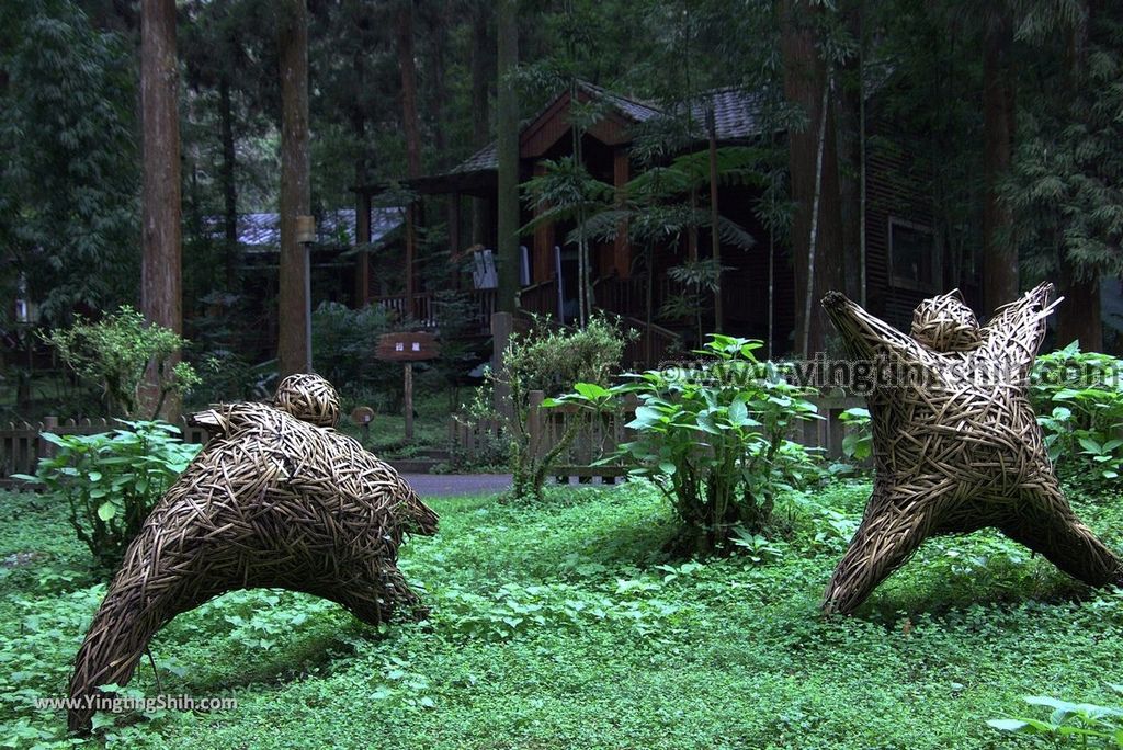 YTS_YTS_20181012_ 南投鹿谷溪頭自然教育園區Nantou Lugu Xitou Nature Education Area057_3A5A3646.jpg