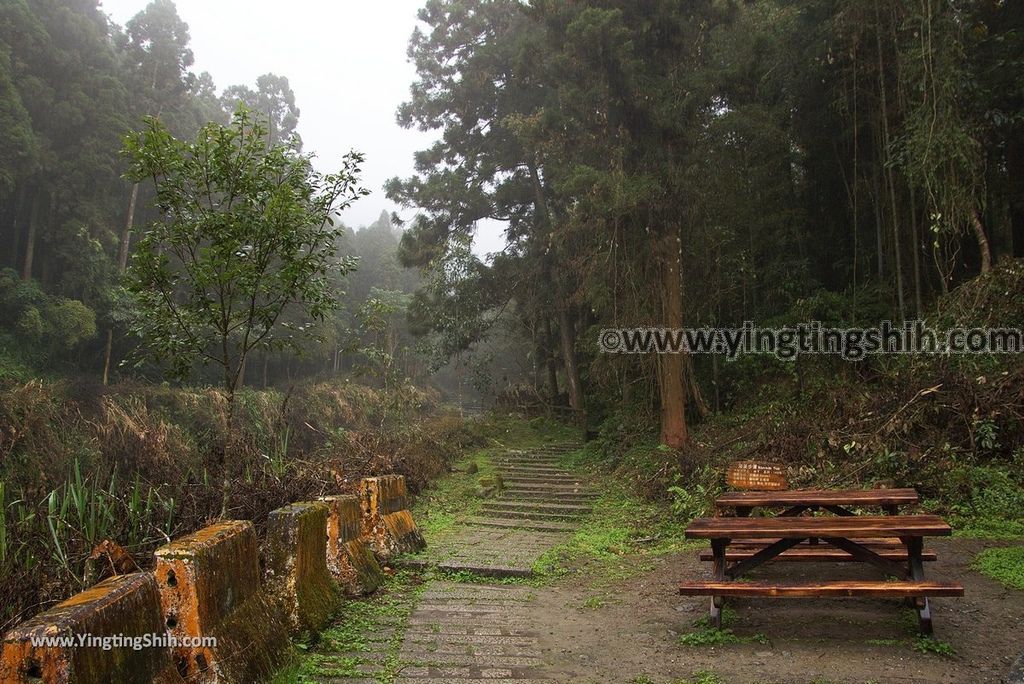 YTS_YTS_20181012_ 南投鹿谷溪頭自然教育園區Nantou Lugu Xitou Nature Education Area063_3A5A0204.jpg