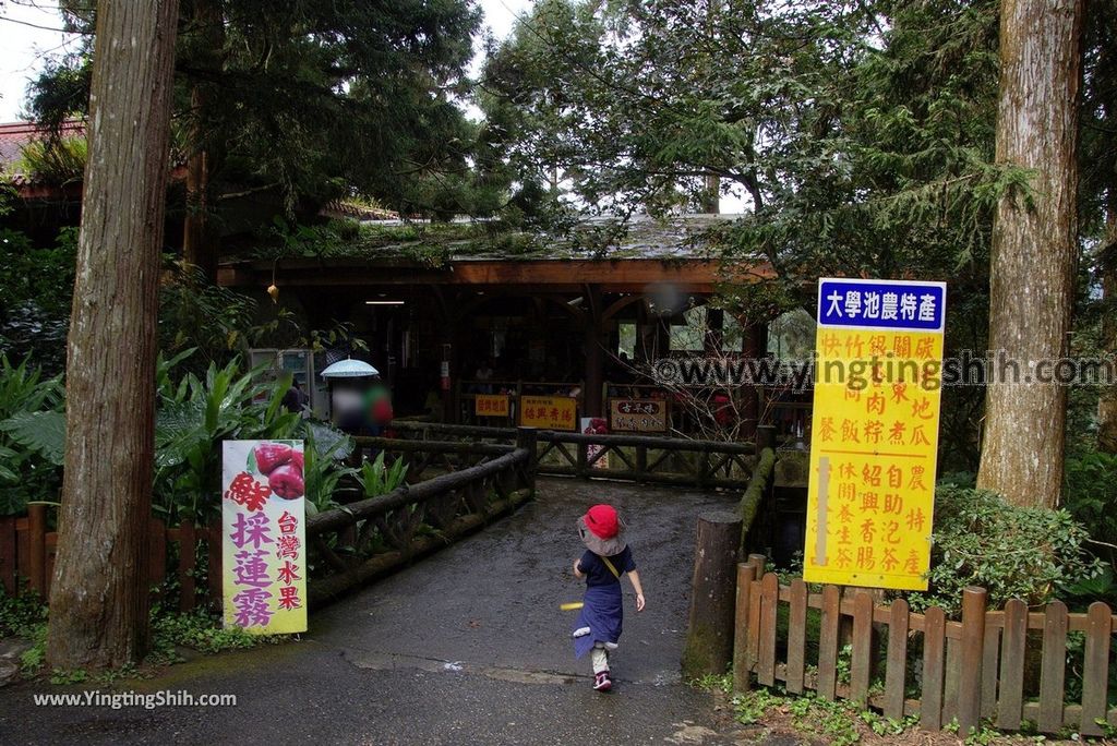 YTS_YTS_20181012_ 南投鹿谷溪頭自然教育園區Nantou Lugu Xitou Nature Education Area072_3A5A0265.jpg