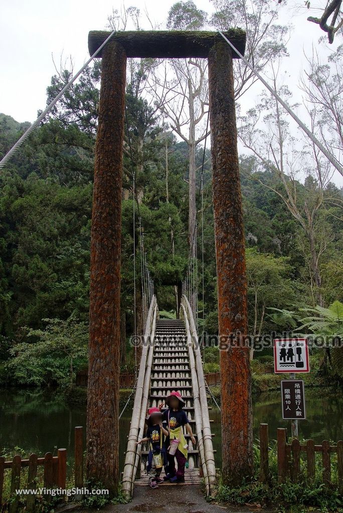 YTS_YTS_20181012_ 南投鹿谷溪頭自然教育園區Nantou Lugu Xitou Nature Education Area080_3A5A0318.jpg