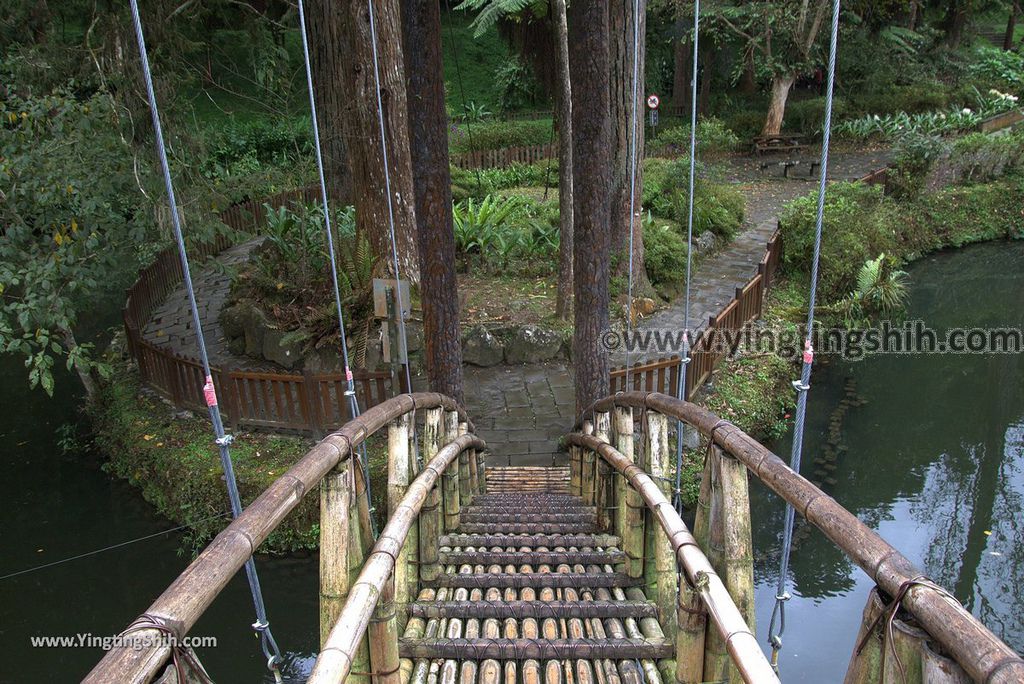 YTS_YTS_20181012_ 南投鹿谷溪頭自然教育園區Nantou Lugu Xitou Nature Education Area081_3A5A0357.jpg