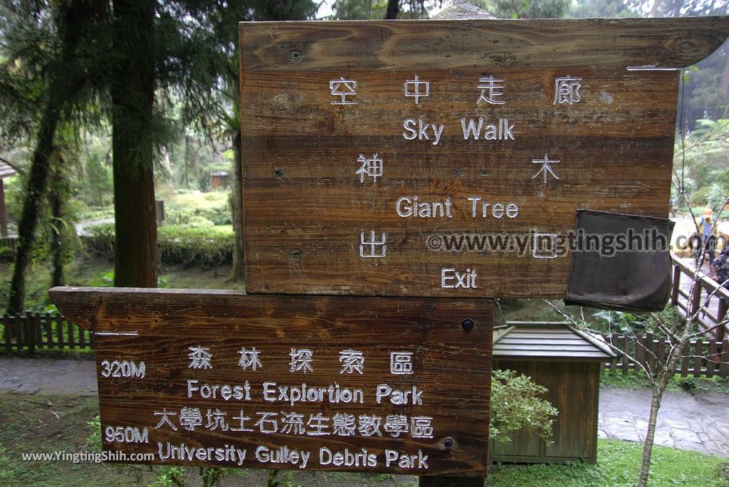 YTS_YTS_20181012_ 南投鹿谷溪頭自然教育園區Nantou Lugu Xitou Nature Education Area093_3A5A0519.jpg