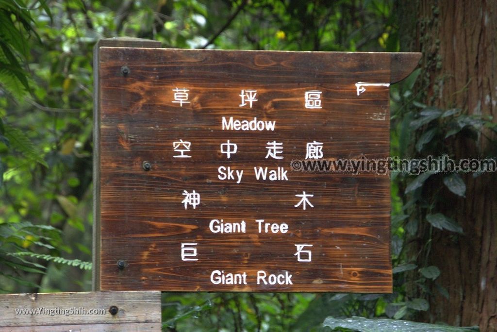 YTS_YTS_20181012_ 南投鹿谷溪頭自然教育園區Nantou Lugu Xitou Nature Education Area108_3A5A1044.jpg