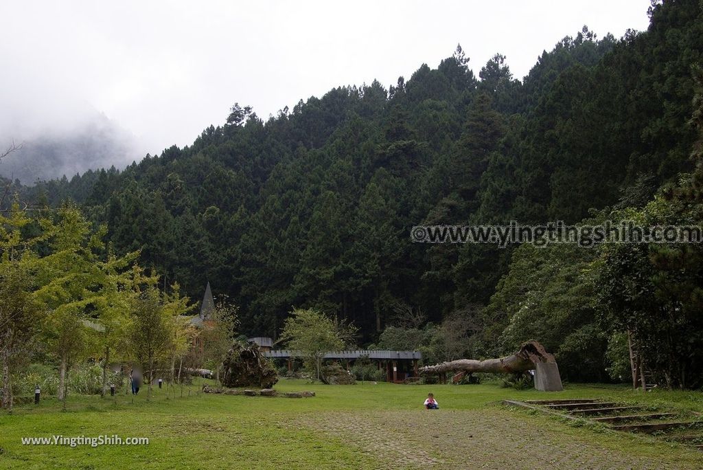 YTS_YTS_20181012_ 南投鹿谷溪頭自然教育園區Nantou Lugu Xitou Nature Education Area128_3A5A1395.jpg