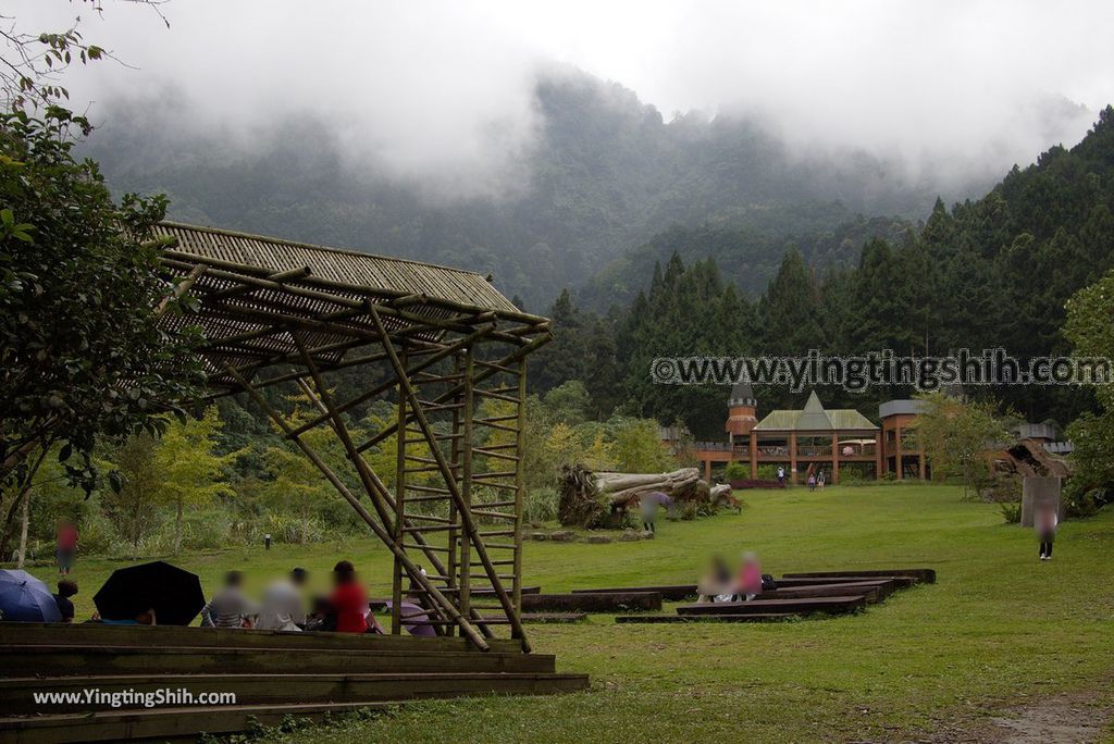 YTS_YTS_20181012_ 南投鹿谷溪頭自然教育園區Nantou Lugu Xitou Nature Education Area129_3A5A1342.jpg