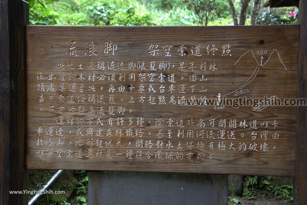 YTS_YTS_20181012_ 南投鹿谷溪頭自然教育園區Nantou Lugu Xitou Nature Education Area135_3A5A1438.jpg