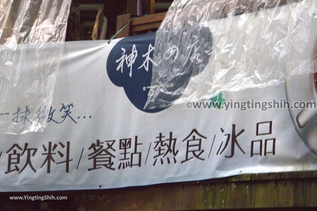 YTS_YTS_20181012_ 南投鹿谷溪頭自然教育園區Nantou Lugu Xitou Nature Education Area174_3A5A2352.jpg