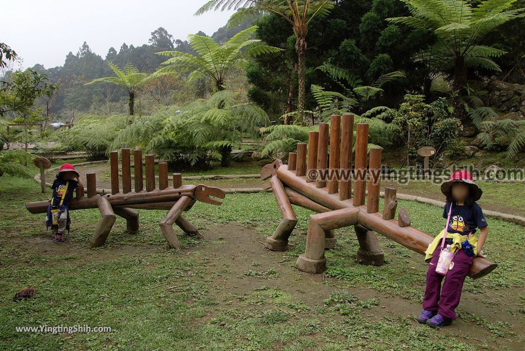 YTS_YTS_20181012_ 南投鹿谷溪頭自然教育園區Nantou Lugu Xitou Nature Education Area240_3A5A3368.jpg