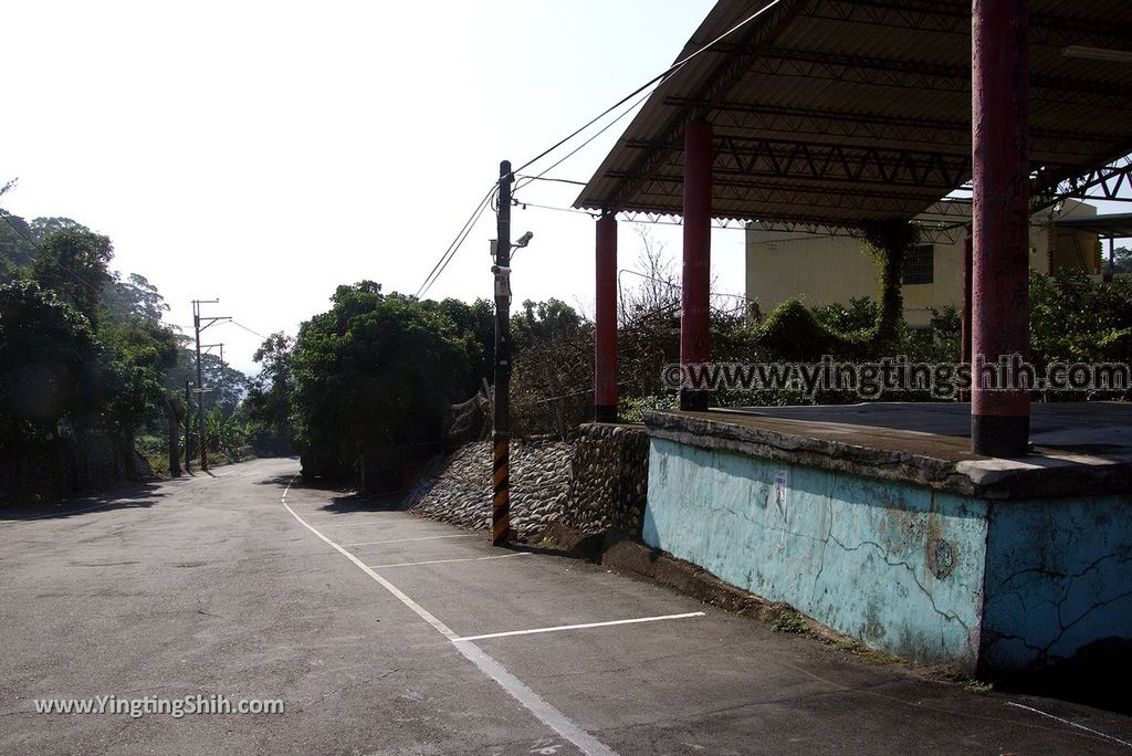 YTS_YTS_20181201_彰化二水坑內坑森林步道／苳柏步道Changhua Ershui Kengneikeng Forest Trail075_3A5A8040.jpg