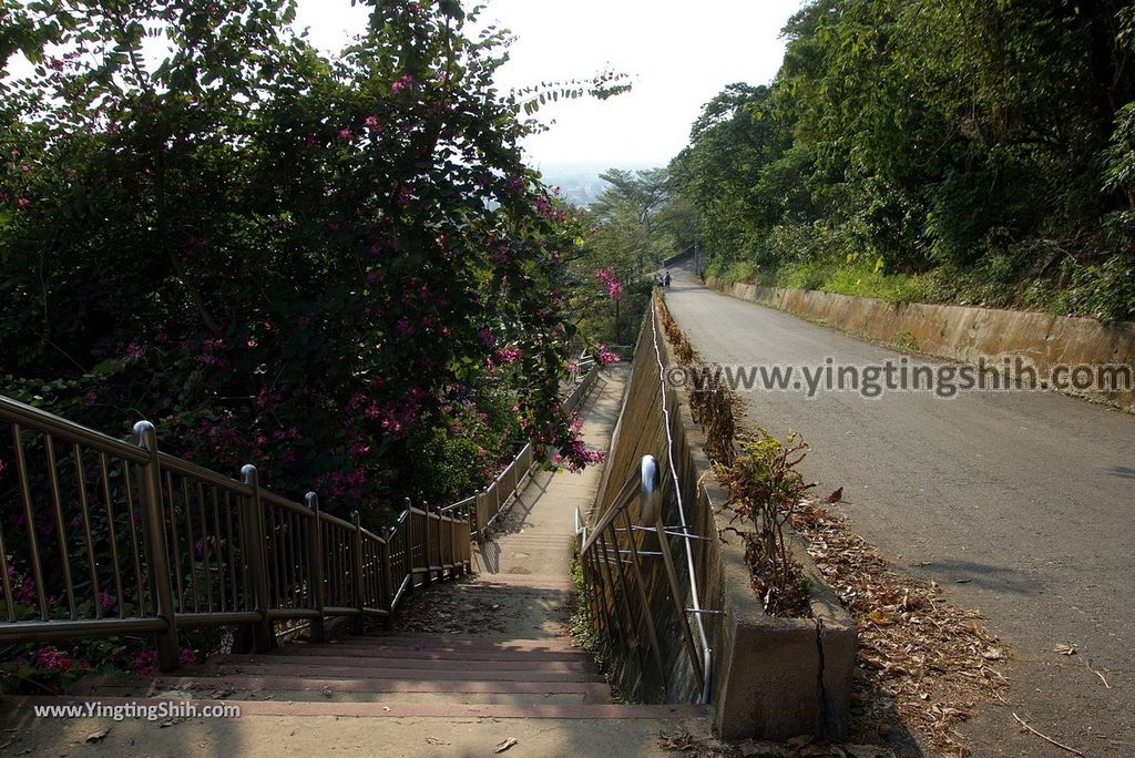 YTS_YTS_20181201_彰化二水豐柏廣場／松柏嶺／登廟步道Changhua Ershui Fengbo Plaza Trail019_3A5A8826.jpg