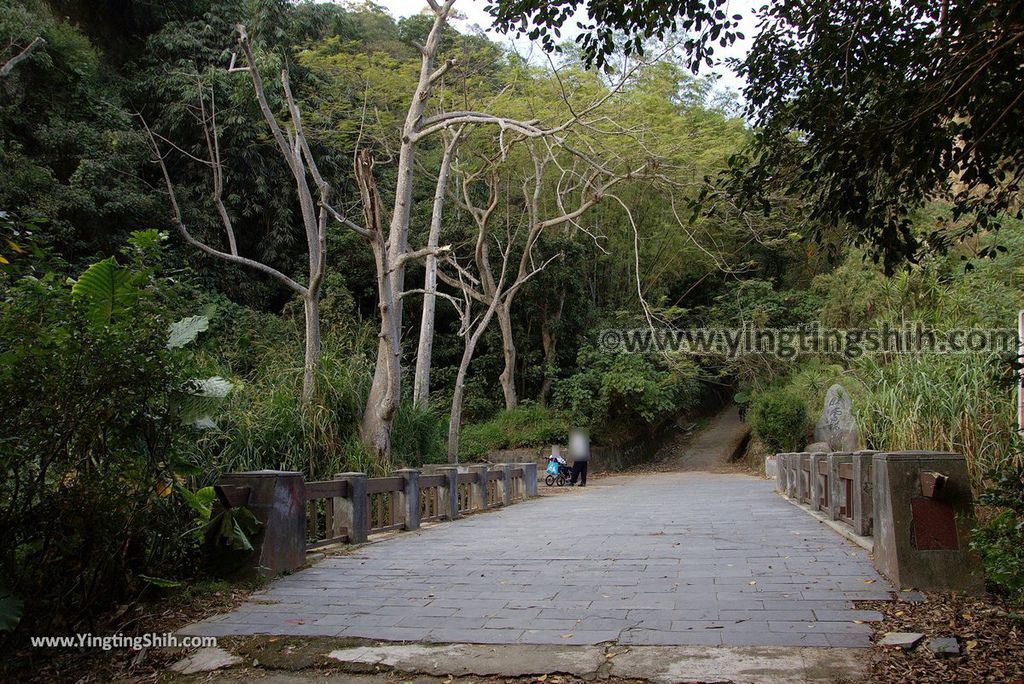 YTS_YTS_20181201_彰化二水豐柏廣場／松柏嶺／登廟步道Changhua Ershui Fengbo Plaza Trail060_3A5A9148.jpg