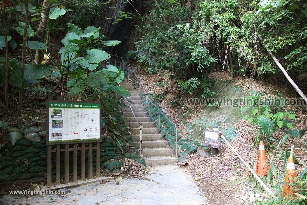 YTS_YTS_20181201_彰化二水豐柏廣場／松柏嶺／登廟步道Changhua Ershui Fengbo Plaza Trail078_3A5A9541.jpg