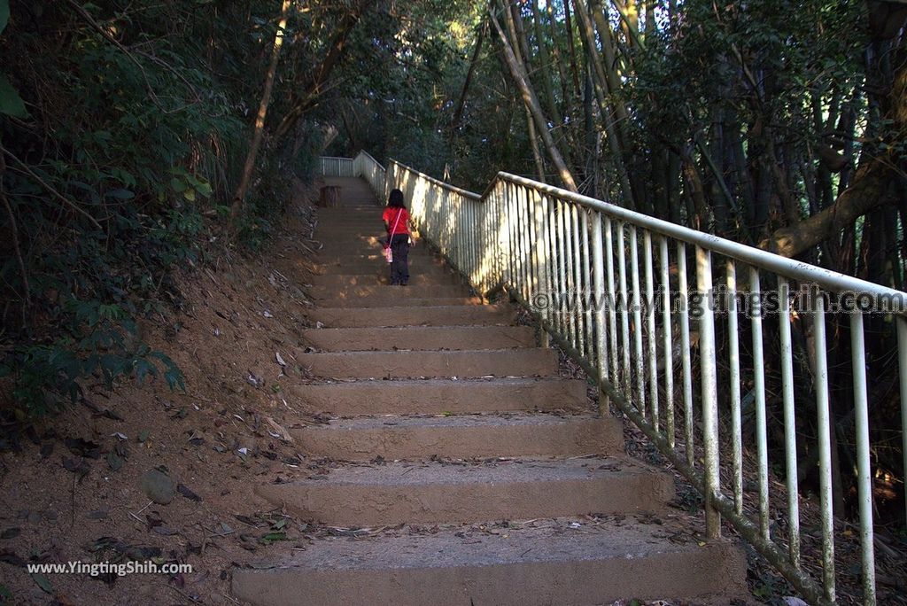 YTS_YTS_20181201_彰化二水豐柏廣場／松柏嶺／登廟步道Changhua Ershui Fengbo Plaza Trail084_3A5A9606.jpg