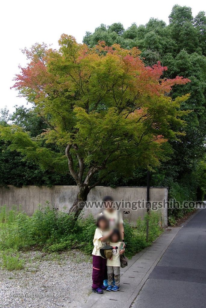 YTS_YTS_20180711_Japan Kyoto Arashiyama Anryuji Temple 日本京都安立寺010_3A5A7297.jpg