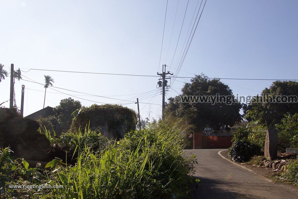 YTS_YTS_20181201_南投名間茶香步道Nantou Mingjian Tea Scent Trail014_3A5A3523.jpg