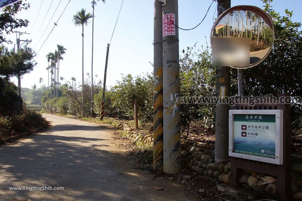 YTS_YTS_20181201_南投名間茶香步道Nantou Mingjian Tea Scent Trail035_3A5A3672.jpg