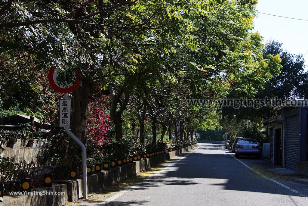 YTS_YTS_20181202_彰化田中八堡一圳景觀廊道Changhua Tianzhong Babaozhen Scenic Corridor007_3A5A0518.jpg