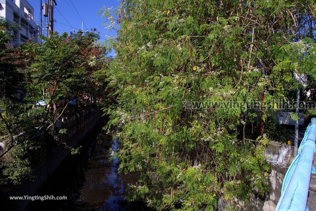 YTS_YTS_20181202_彰化田中八堡一圳景觀廊道Changhua Tianzhong Babaozhen Scenic Corridor026_3A5A0613.jpg