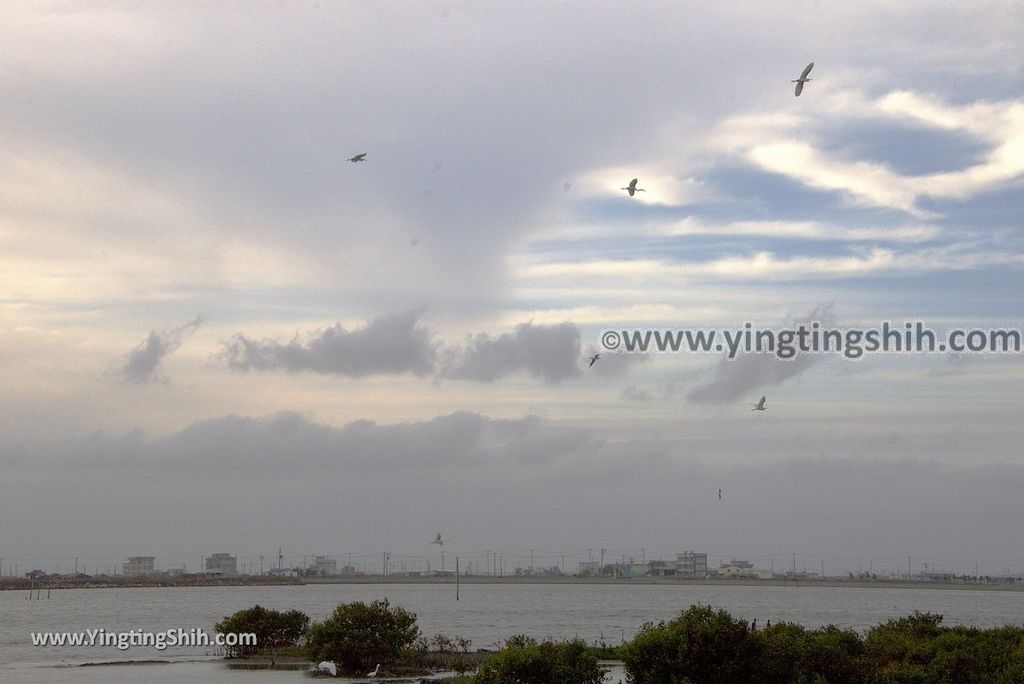 YTS_YTS_20181208_雲林口湖成龍溼地／安龍宮／成龍集會所Yunlin Kouhu Chenglong Wetlands034_3A5A0903.jpg