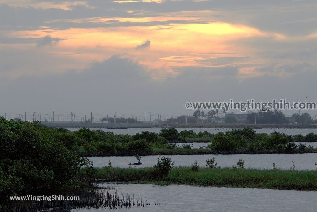 YTS_YTS_20181208_雲林口湖成龍溼地／安龍宮／成龍集會所Yunlin Kouhu Chenglong Wetlands039_3A5A1300.jpg