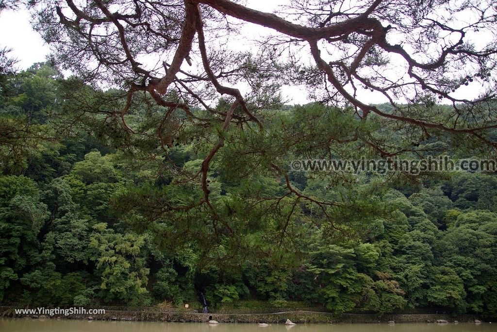 YTS_YTS_20180711_Japan Kansai Kyoto Arashiyama Park／Togetu Kobashi Bridge日本京都嵐山公園龜山地區／渡月橋049_3A5A6115.jpg