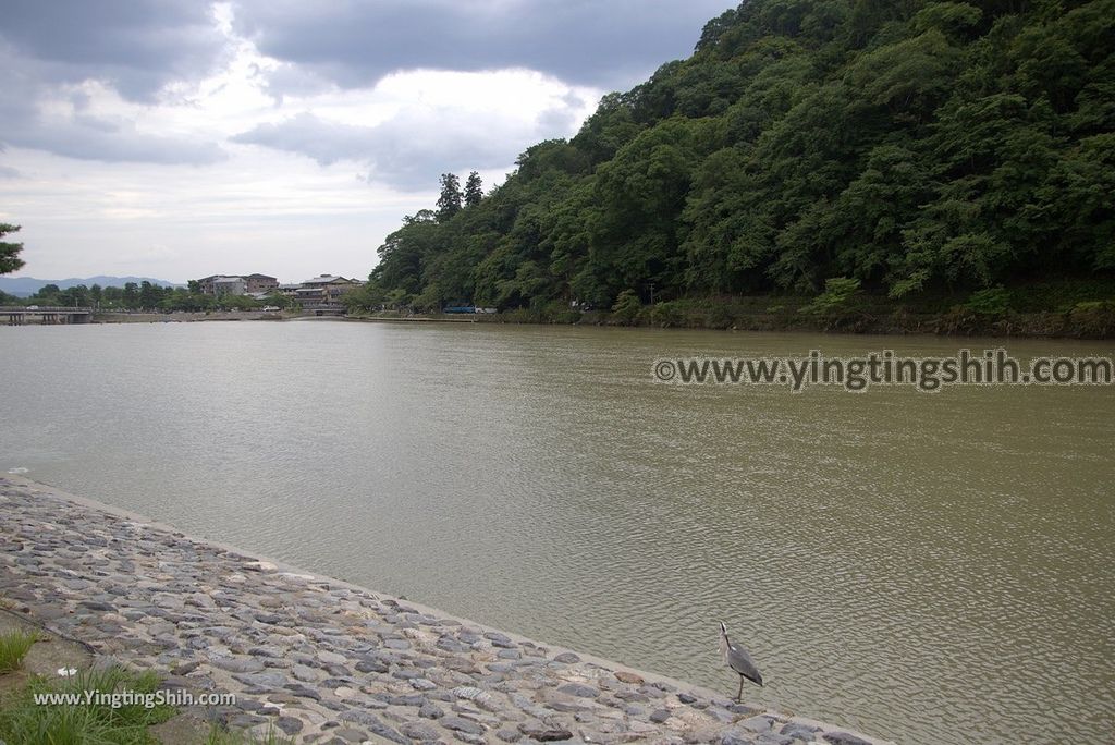 YTS_YTS_20180711_Japan Kansai Kyoto Arashiyama Park／Togetu Kobashi Bridge日本京都嵐山公園龜山地區／渡月橋047_3A5A6052.jpg