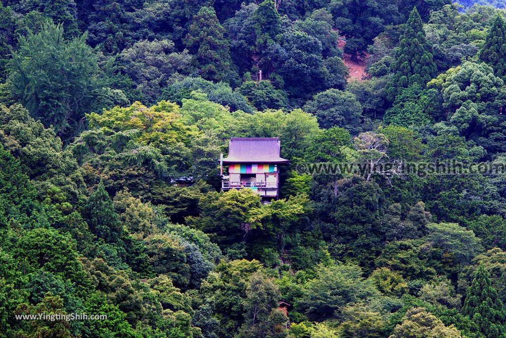 YTS_YTS_20180711_Japan Kansai Kyoto Arashiyama Park／Togetu Kobashi Bridge日本京都嵐山公園龜山地區／渡月橋100_3A5A6674.jpg