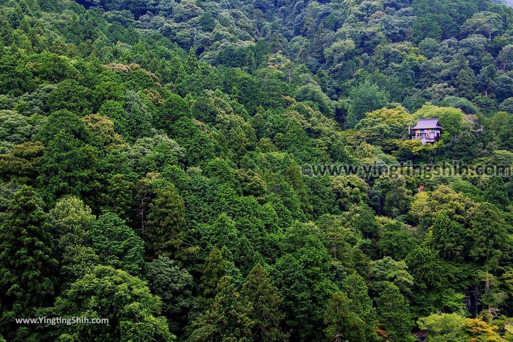 YTS_YTS_20180711_Japan Kansai Kyoto Arashiyama Park／Togetu Kobashi Bridge日本京都嵐山公園龜山地區／渡月橋104_3A5A6822.jpg