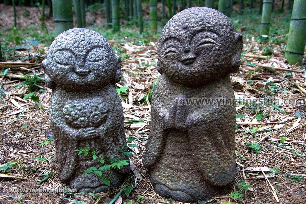 YTS_YTS_20180711_Japan Kansai Kyoto Arashiyama Bamboo Forest ／Nonomiya-Jinja Shrine 日本關西（近畿）京都嵐山竹林小徑、散策路／野宮神社075_3A5A7575.jpg