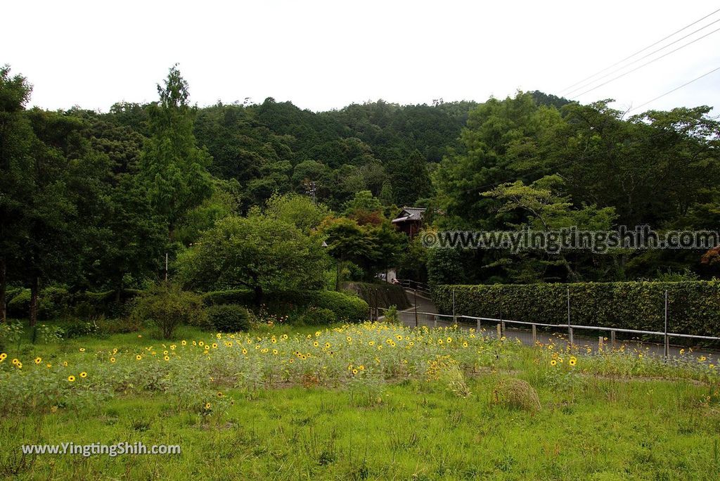 YTS_YTS_20180711_Japan Kansai Kyoto Arashiyama Torokko Arashiyama Station 日本關西（近畿）京都御髮神社／嵐山駅（嵐電）058_3A5A7231.jpg