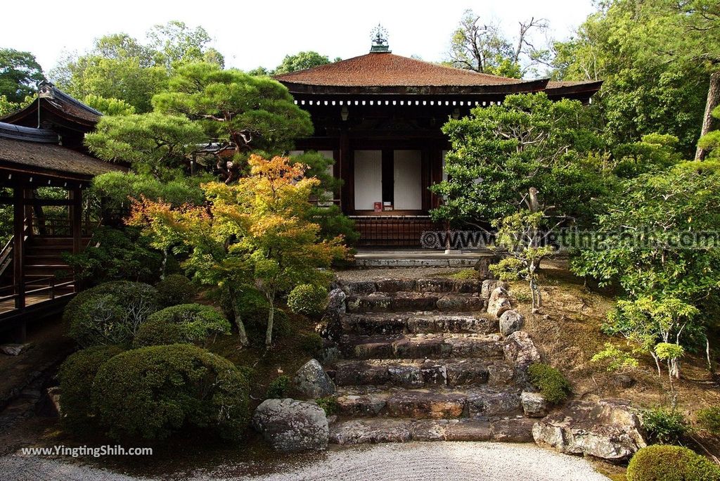 YTS_YTS_20180713_Japan Kansai Kyoto Ninna-ji 日本關西京都總本山仁和寺／世界文化遺產078_3A5A1336.jpg