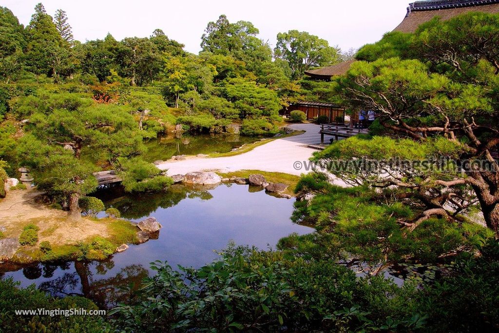 YTS_YTS_20180713_Japan Kansai Kyoto Ninna-ji 日本關西京都總本山仁和寺／世界文化遺產086_3A5A1286.jpg