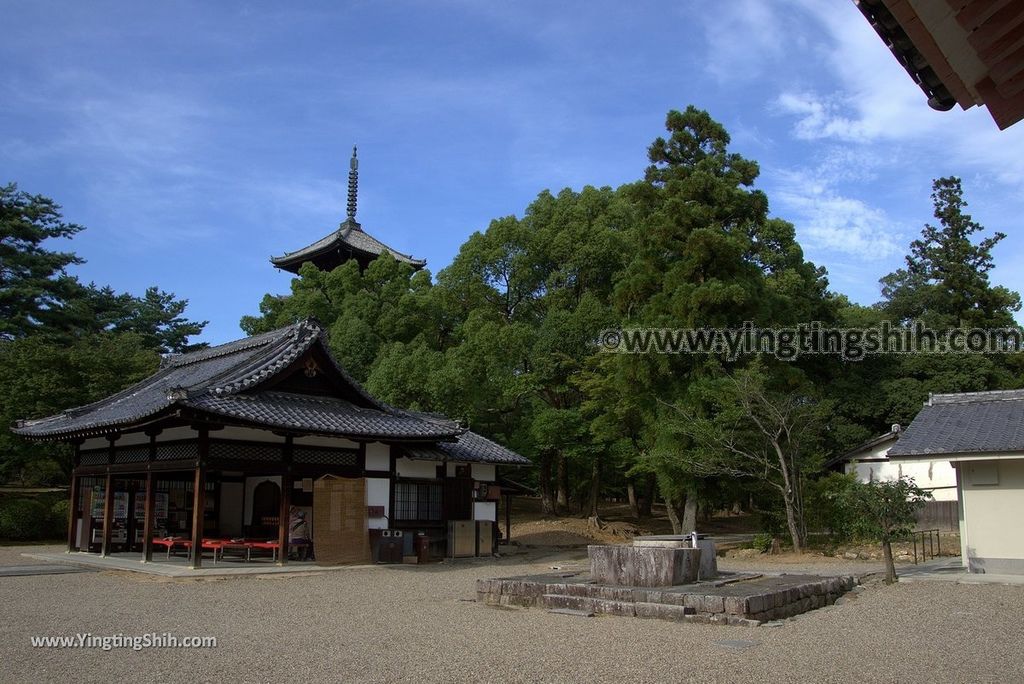 YTS_YTS_20180713_Japan Kansai Kyoto Ninna-ji 日本關西京都總本山仁和寺／世界文化遺產100_3A5A1548.jpg