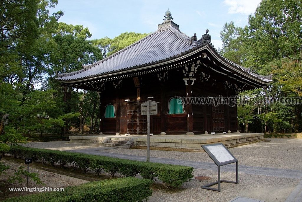 YTS_YTS_20180713_Japan Kansai Kyoto Ninna-ji 日本關西京都總本山仁和寺／世界文化遺產117_3A5A1786.jpg