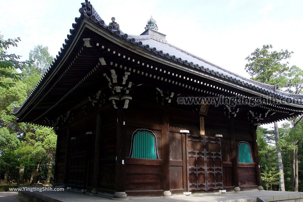 YTS_YTS_20180713_Japan Kansai Kyoto Ninna-ji 日本關西京都總本山仁和寺／世界文化遺產119_3A5A1851.jpg