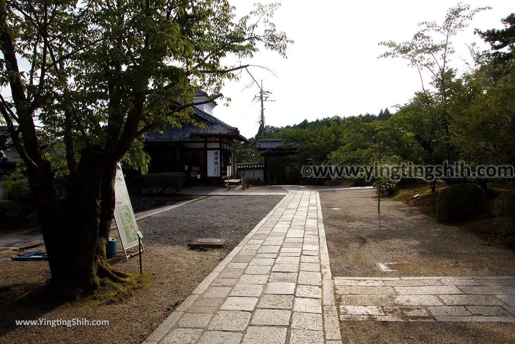 YTS_YTS_20180713_Japan Kansai Kyoto Ninna-ji 日本關西京都總本山仁和寺／世界文化遺產138_3A5A1946.jpg