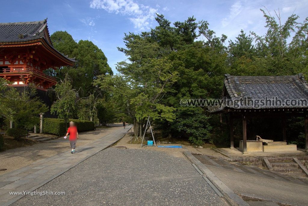 YTS_YTS_20180713_Japan Kansai Kyoto Ninna-ji 日本關西京都總本山仁和寺／世界文化遺產150_3A5A2106.jpg