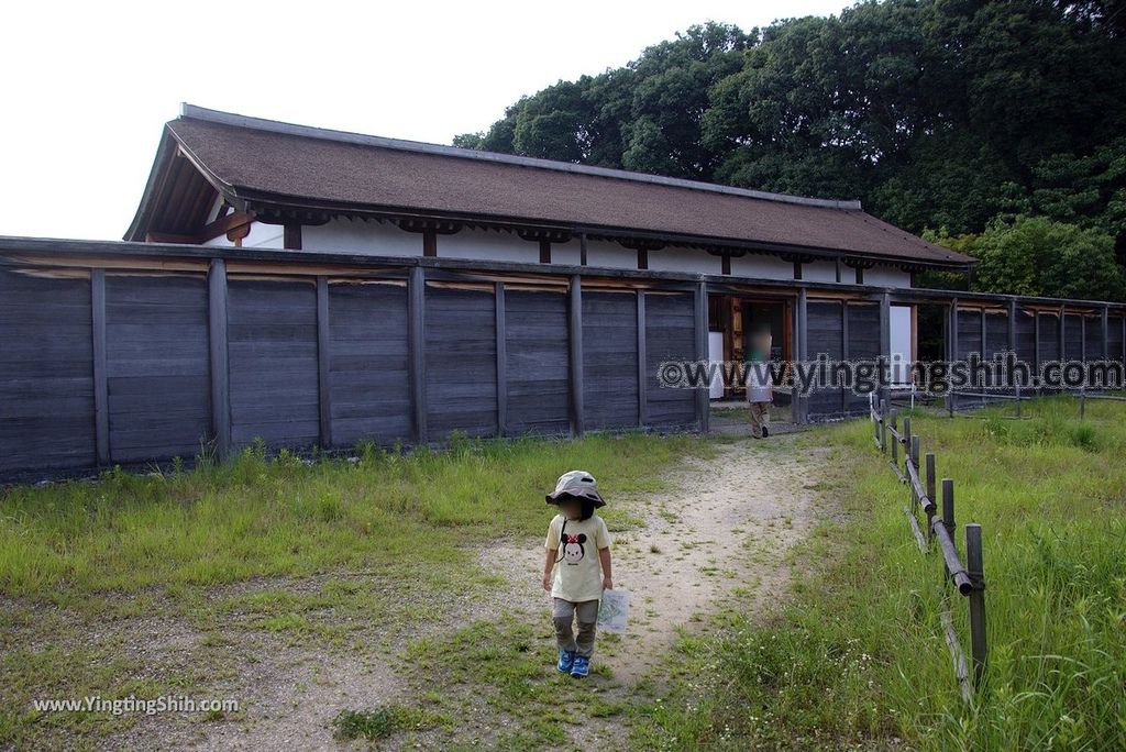 YTS_YTS_20180715_Japan Kansai Nara East Palace Garden日本關西奈良平城宮跡東院庭園024_3A5A1410.jpg