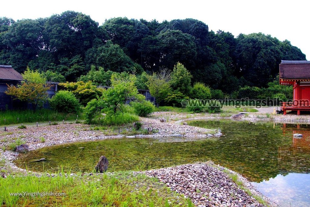 YTS_YTS_20180715_Japan Kansai Nara East Palace Garden日本關西奈良平城宮跡東院庭園031_3A5A1472.jpg