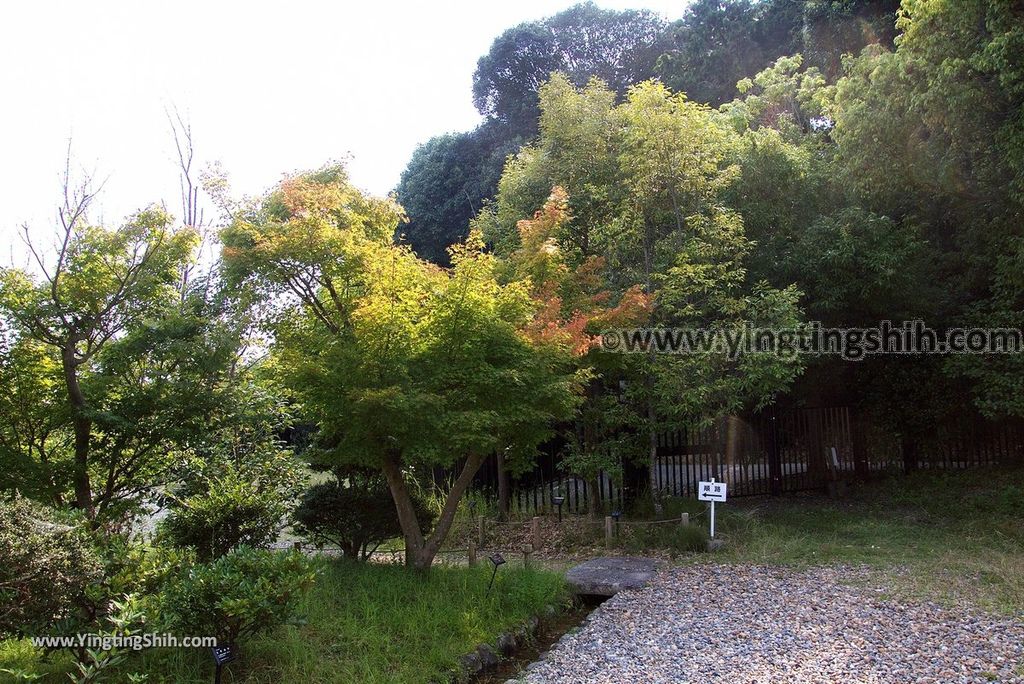 YTS_YTS_20180715_Japan Kansai Nara East Palace Garden日本關西奈良平城宮跡東院庭園054_3A5A1642.jpg