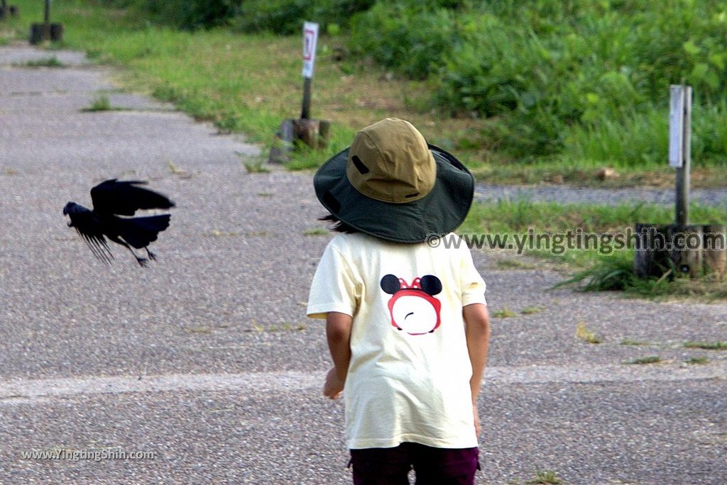 YTS_YTS_20180715_Japan Kansai Nara East Palace Garden日本關西奈良平城宮跡東院庭園072_3A5A1289.jpg