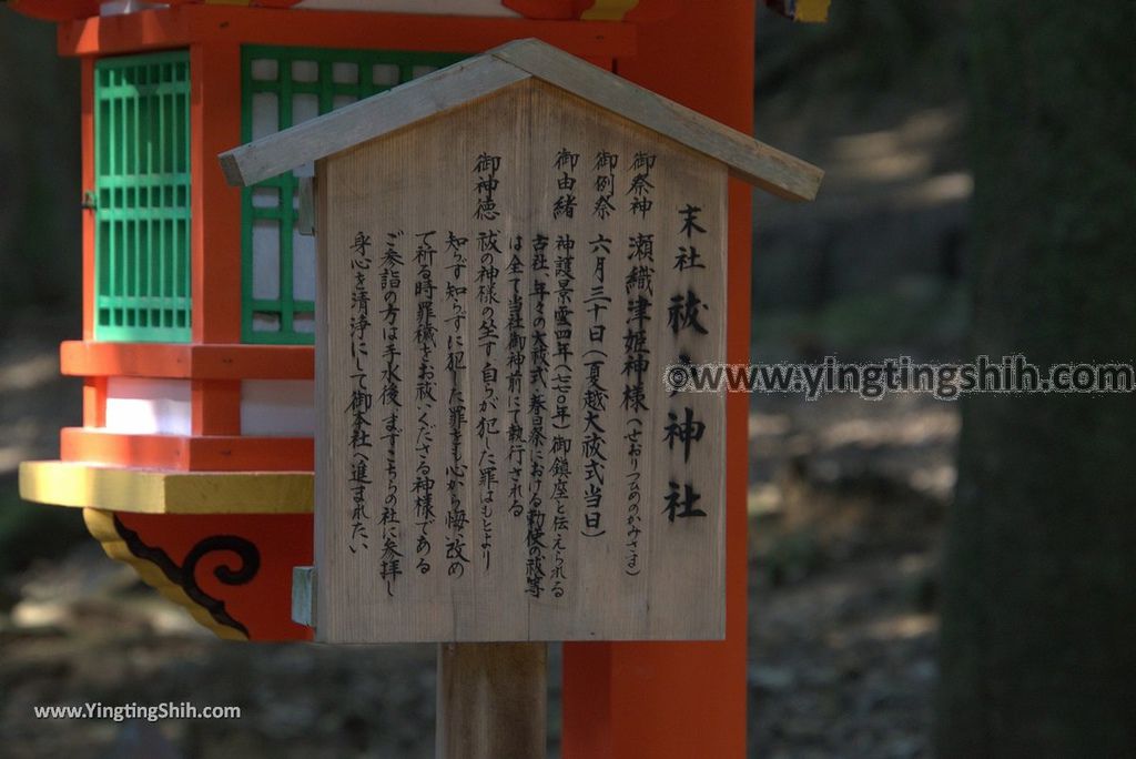 YTS_YTS_20180716_Japan Kansai Nara Kasuga-taisha／Nara Park日本關西奈良春日大社／夫婦大國社／奈良公園066_3A5A4979.jpg