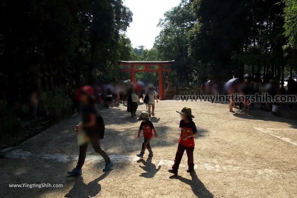 YTS_YTS_20180716_Japan Kansai Nara Kasuga-taisha／Nara Park日本關西奈良春日大社／夫婦大國社／奈良公園071_3A5A5038.jpg