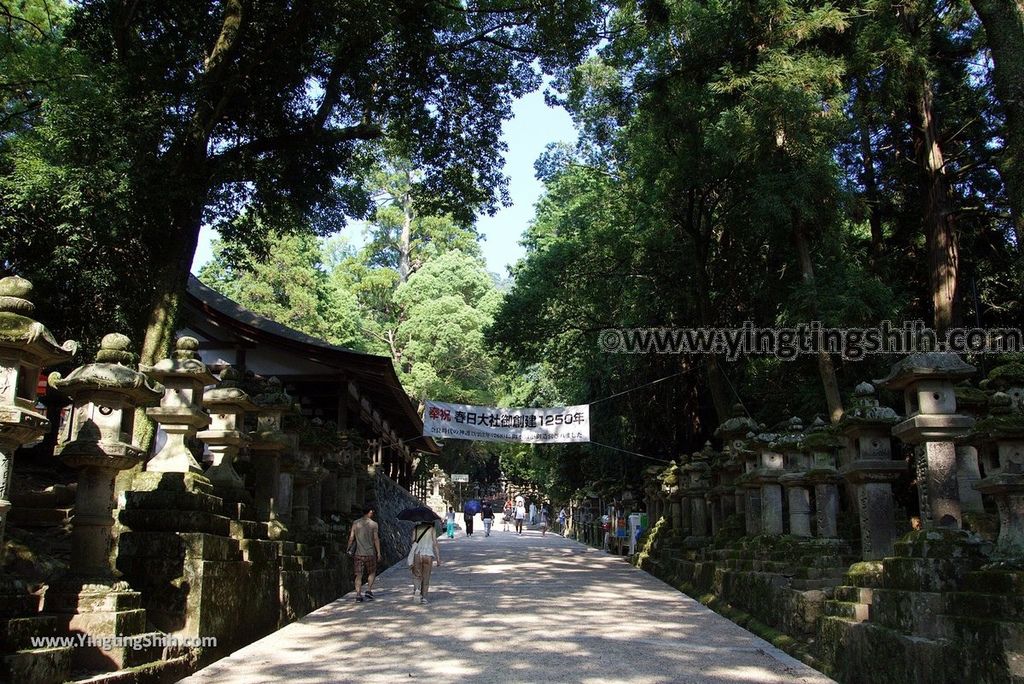 YTS_YTS_20180716_Japan Kansai Nara Kasuga-taisha／Nara Park日本關西奈良春日大社／夫婦大國社／奈良公園078_3A5A5205.jpg