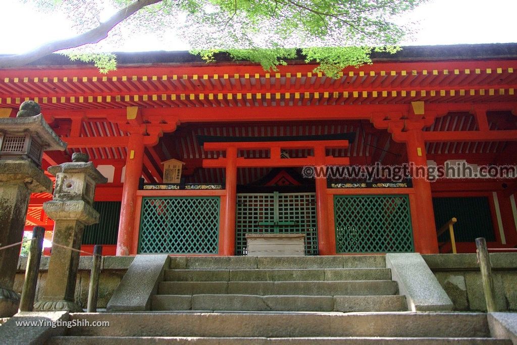 YTS_YTS_20180716_Japan Kansai Nara Kasuga-taisha／Nara Park日本關西奈良春日大社／夫婦大國社／奈良公園086_3A5A5285.jpg