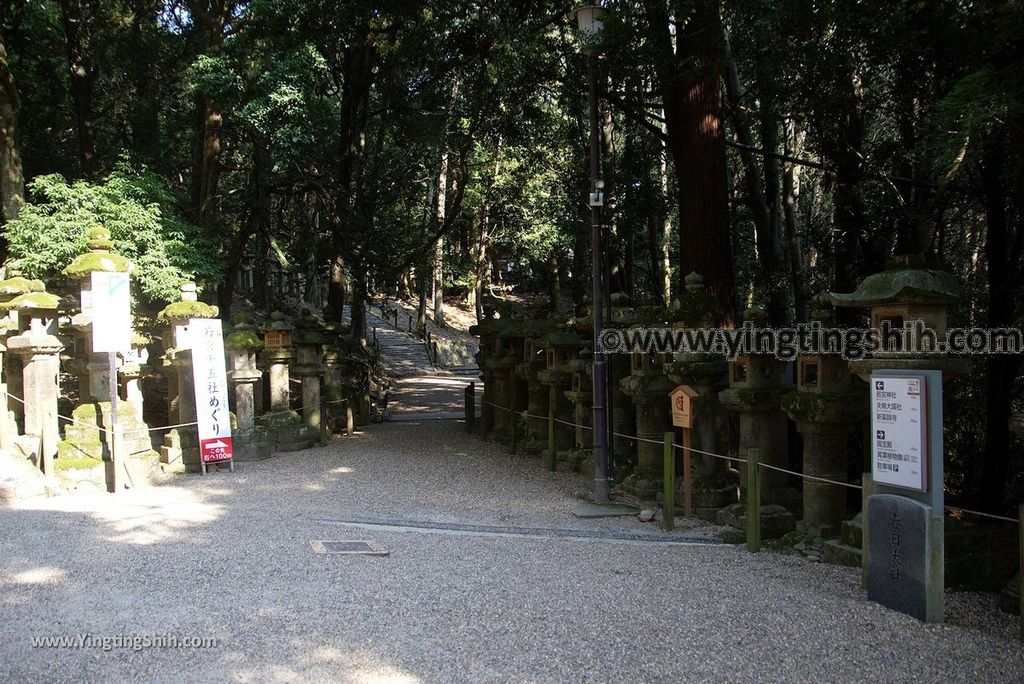 YTS_YTS_20180716_Japan Kansai Nara Kasuga-taisha／Nara Park日本關西奈良春日大社／夫婦大國社／奈良公園093_3A5A5359.jpg