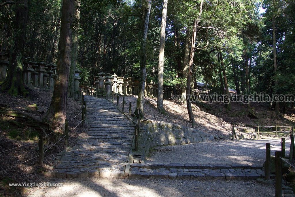 YTS_YTS_20180716_Japan Kansai Nara Kasuga-taisha／Nara Park日本關西奈良春日大社／夫婦大國社／奈良公園104_3A5A5533.jpg