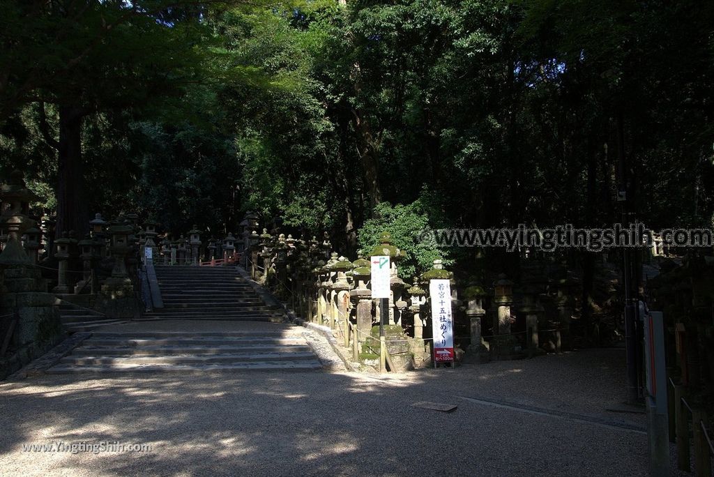 YTS_YTS_20180716_Japan Kansai Nara Kasuga-taisha／Nara Park日本關西奈良春日大社／夫婦大國社／奈良公園100_3A5A5454.jpg