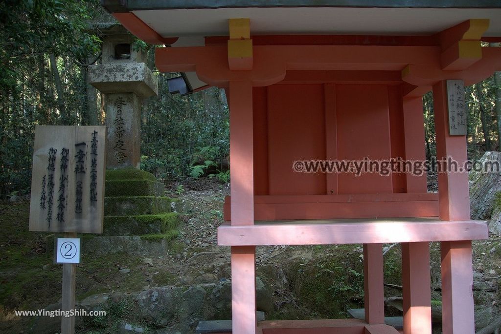 YTS_YTS_20180716_Japan Kansai Nara Kasuga-taisha／Nara Park日本關西奈良春日大社／夫婦大國社／奈良公園108_3A5A5557.jpg