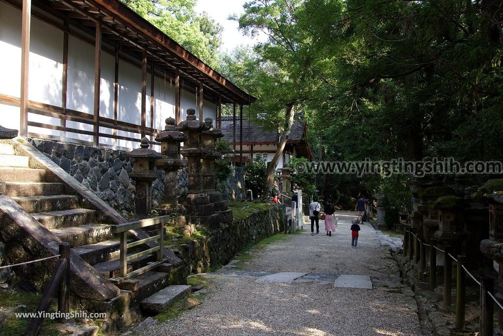 YTS_YTS_20180716_Japan Kansai Nara Kasuga-taisha／Nara Park日本關西奈良春日大社／夫婦大國社／奈良公園116_3A5A5625.jpg